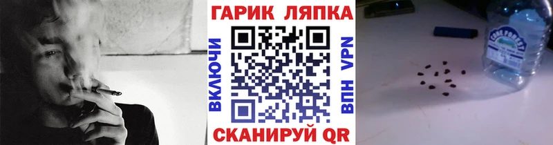 ГАШ Premium  mega как зайти  Ачхой-Мартан 